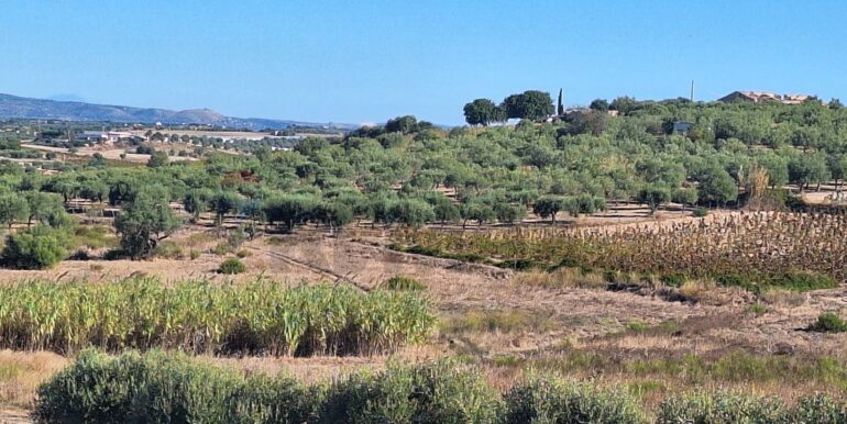 20251124121310-1002983-9