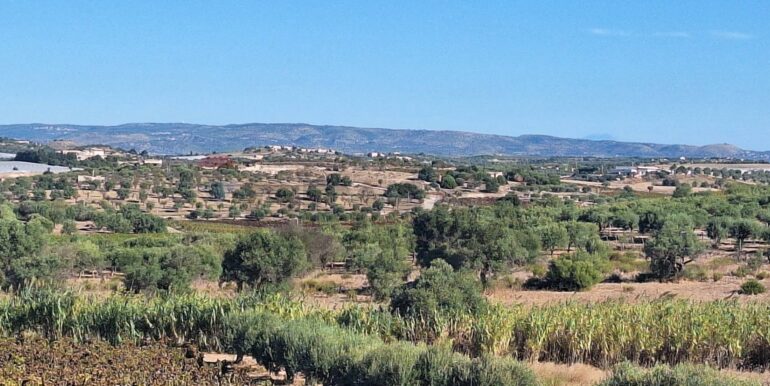 20251124121313-1002983-10