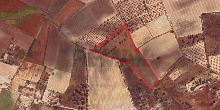 20251124122404-1002983-11