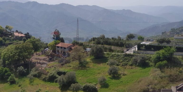 20251124144600-1003024-2