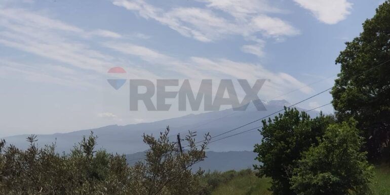 20251124144603-1003024-3