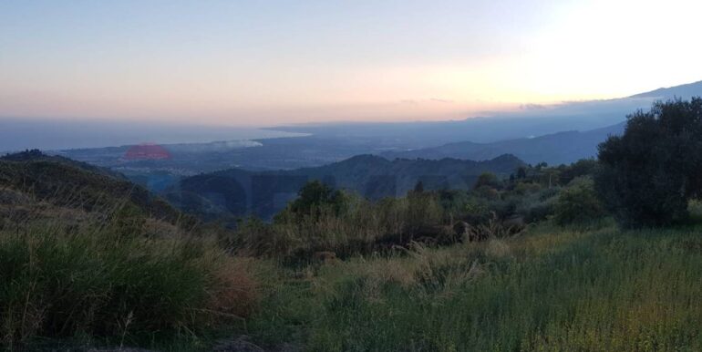 20251124144610-1003024-6