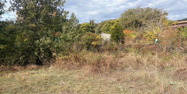 20251124161444-1003040-1