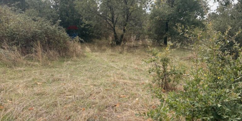 20251124161455-1003040-3