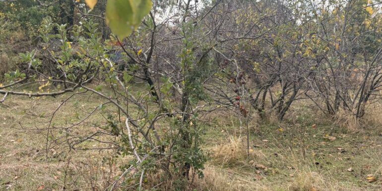 20251124161500-1003040-4