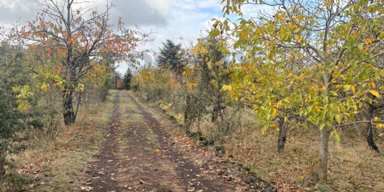 20251124161506-1003040-5