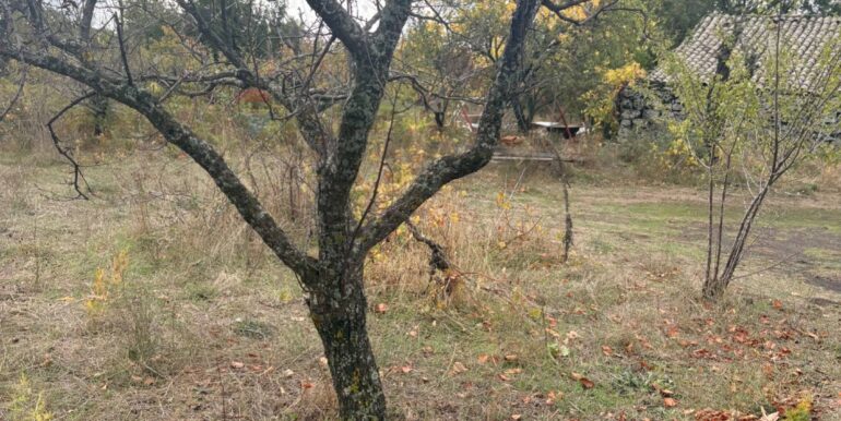 20251124161517-1003040-7