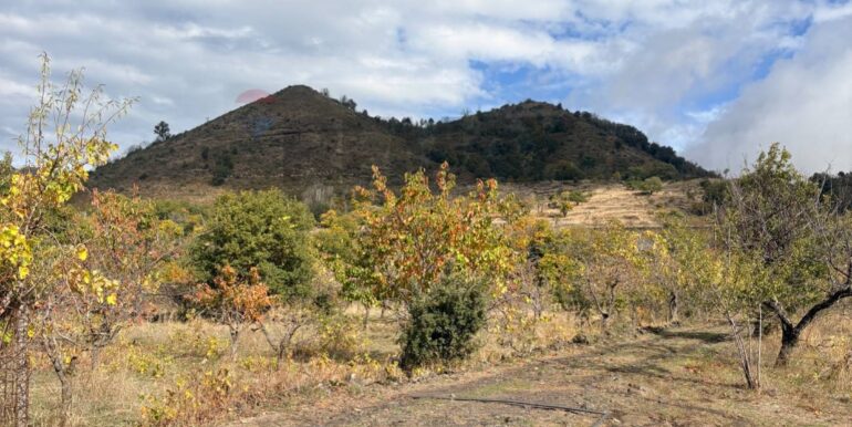 20251124161538-1003040-11