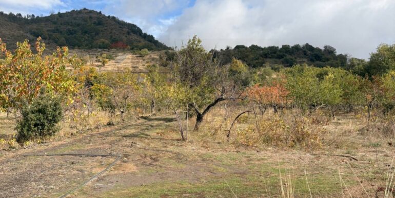 20251124161543-1003040-12