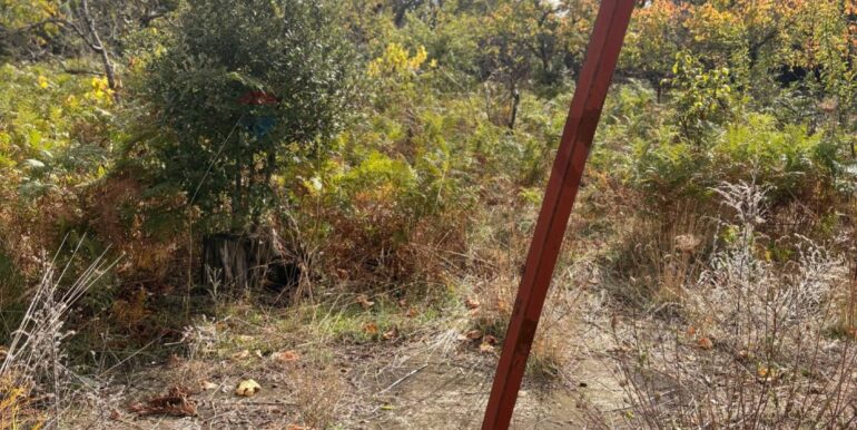 20251124161548-1003040-13