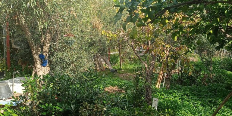 20251125135336-1003482-0