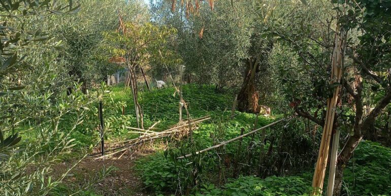 20251125135337-1003482-4