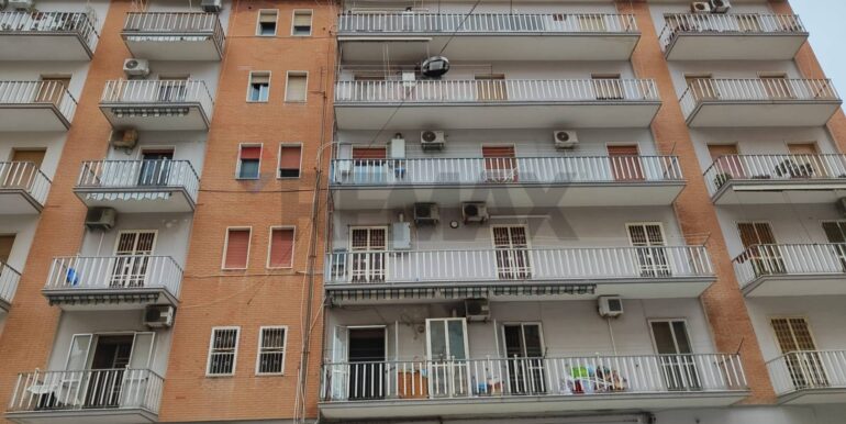 20251126114538-1003842-3