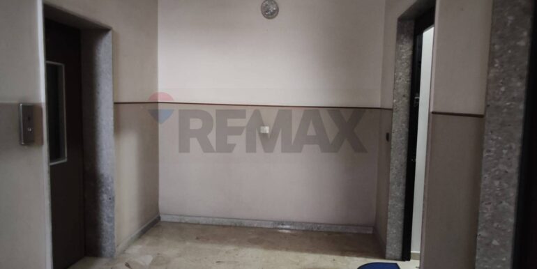 20251126114602-1003842-12