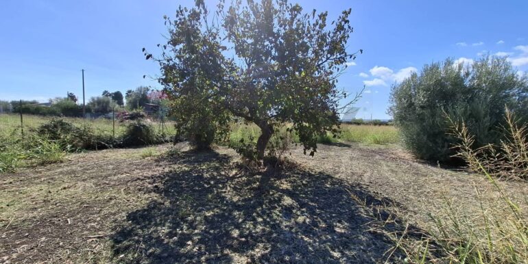 20251126170101-1003785-3