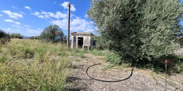 20251126170115-1003785-8