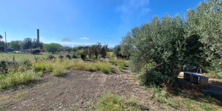 20251126170149-1003785-20