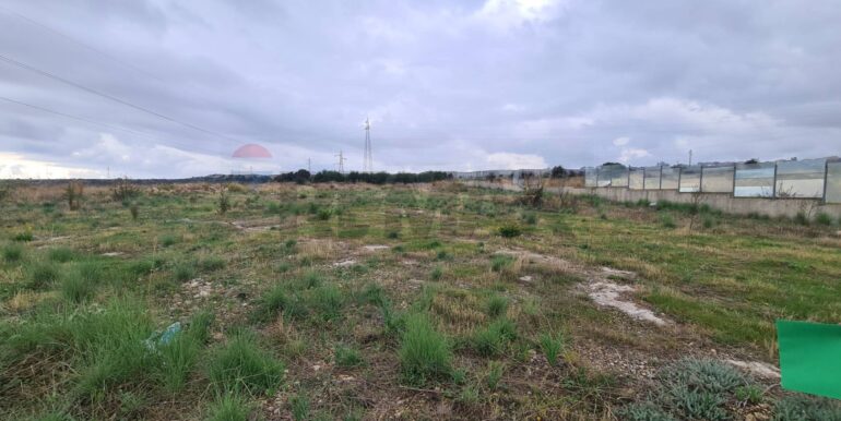 20251126174113-1003931-2