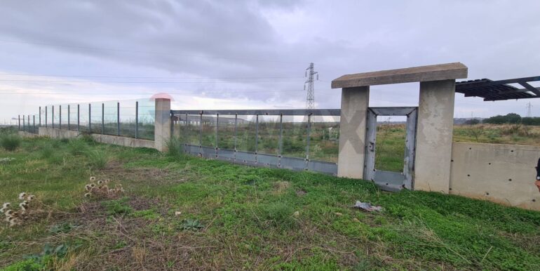 20251126174143-1003931-4