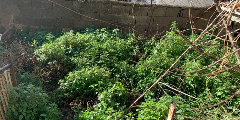 20251126190020-1003973-10