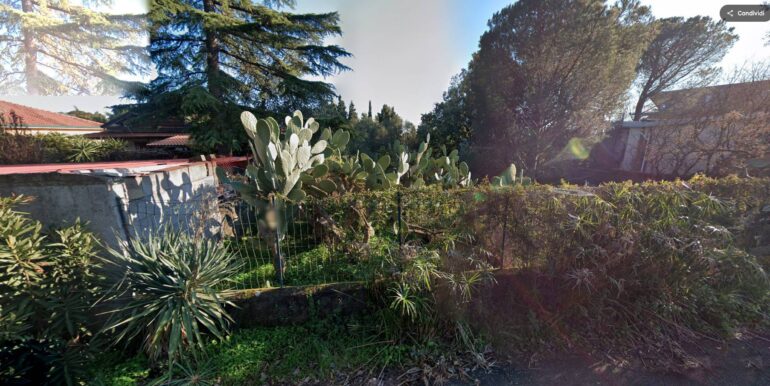 2025112690527-1003592-4