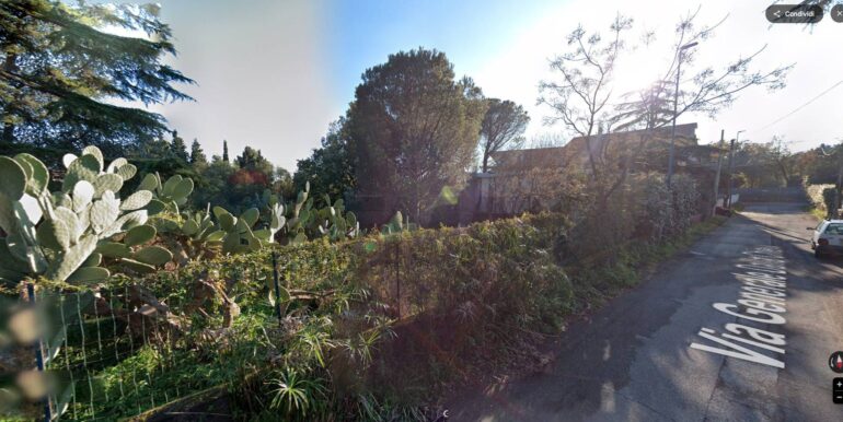 2025112691251-1003592-5