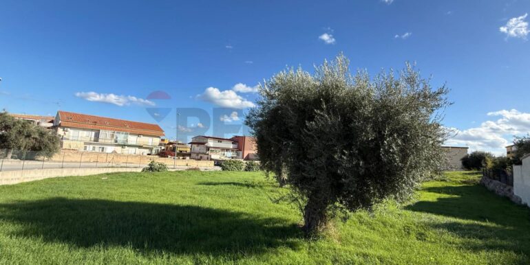 20251127165516-1004189-1