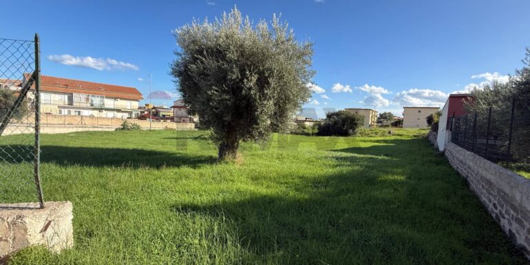 20251127165521-1004189-2