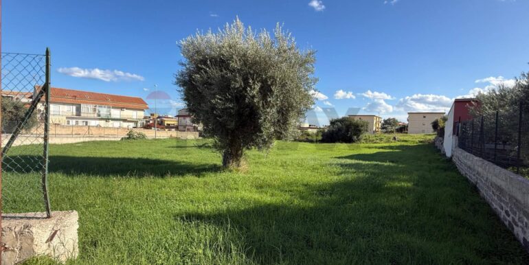 20251127165524-1004189-3