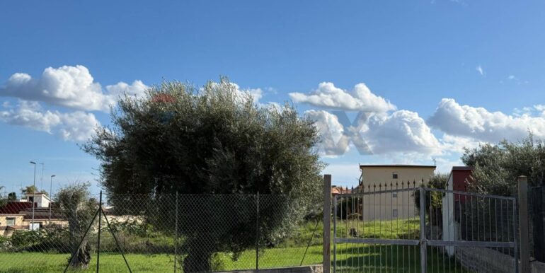 20251127165554-1004189-11