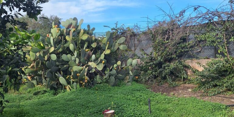 20251127181547-1004217-2