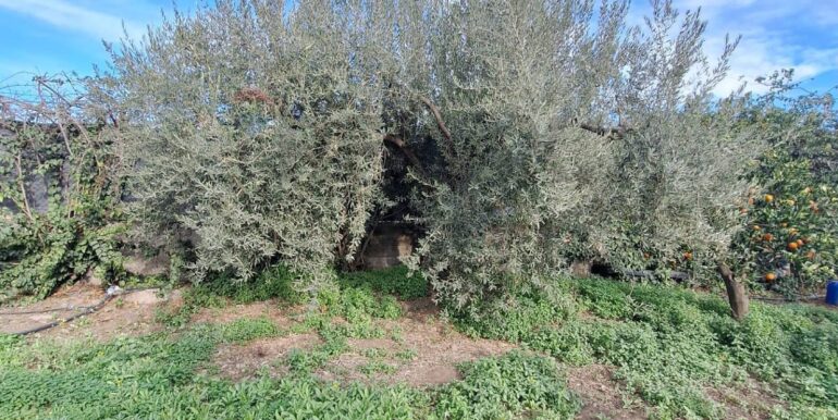 20251127181556-1004217-4