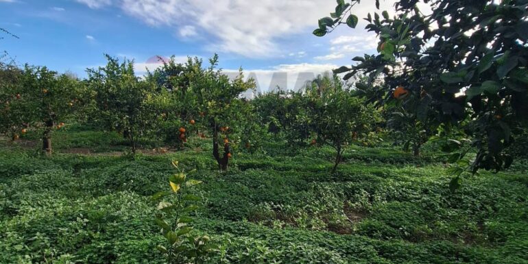 20251127181604-1004217-6