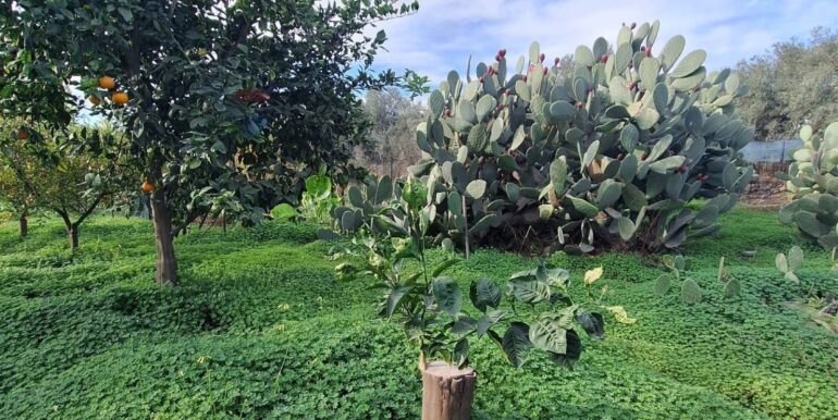 20251127181612-1004217-8