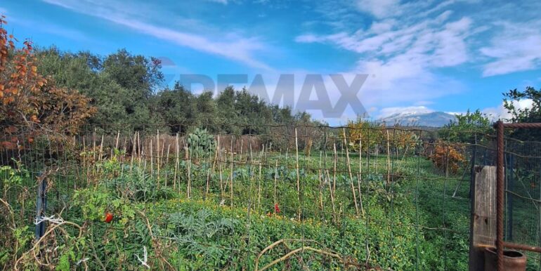 20251127181616-1004217-9