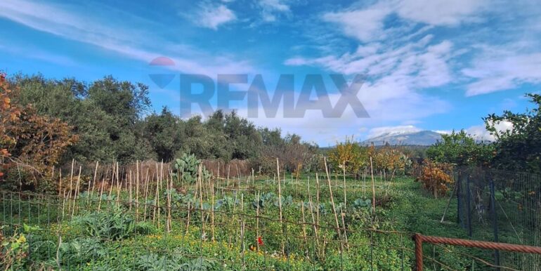 20251127181619-1004217-10