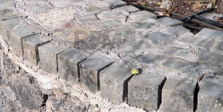 20251127181626-1004217-12