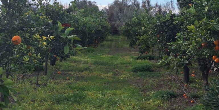 20251127181638-1004217-15