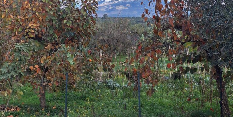 20251127181642-1004217-16