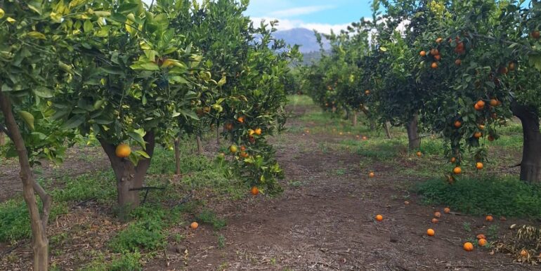 20251127181649-1004217-17