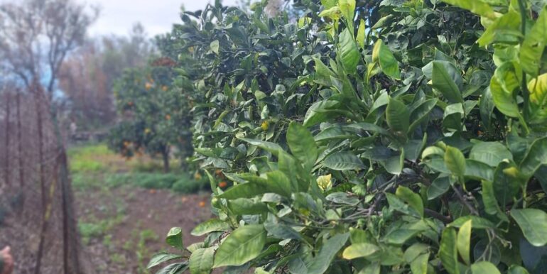 20251127181654-1004217-18