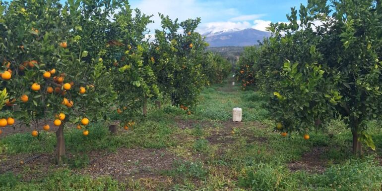 20251127181701-1004217-20