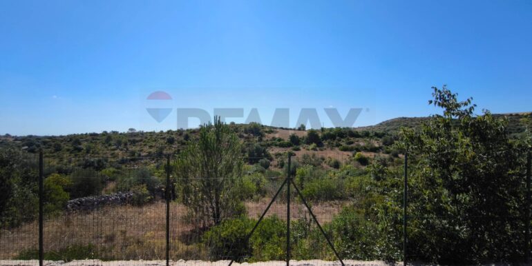 2025112884306-1004245-4