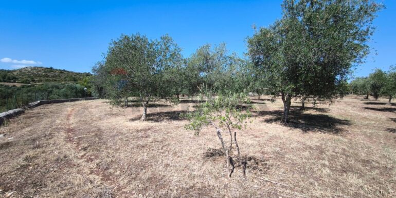 2025112884314-1004245-6