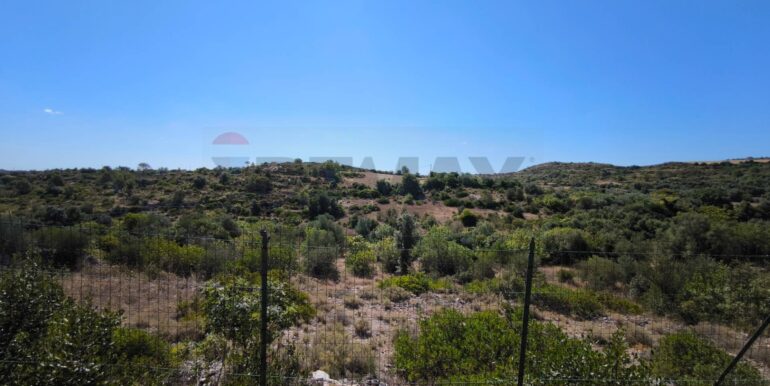 2025112884318-1004245-7