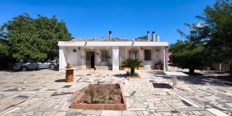 2025112884321-1004245-8