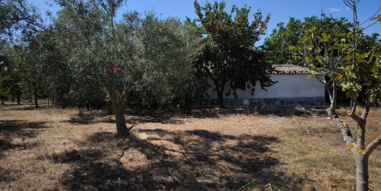 2025112884356-1004245-16