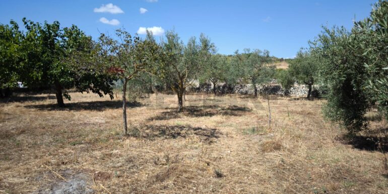 2025112884401-1004245-17