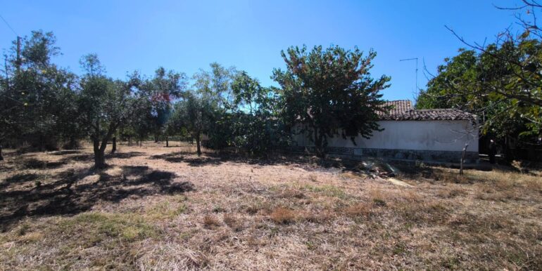 2025112884405-1004245-18