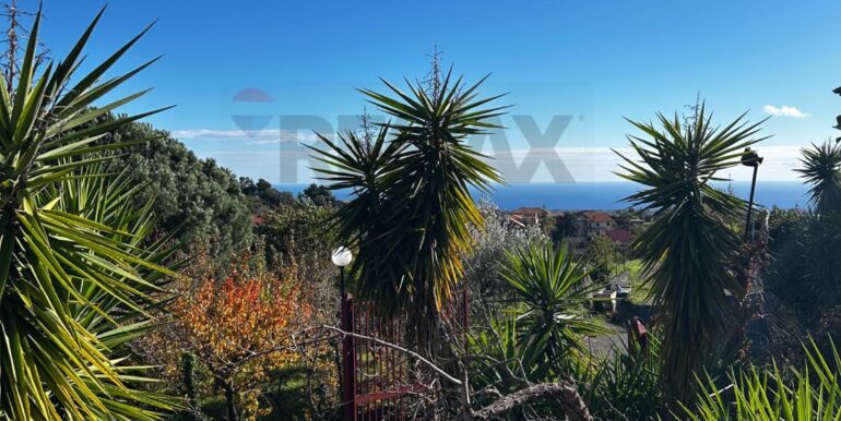 20251129124517-1005495-1